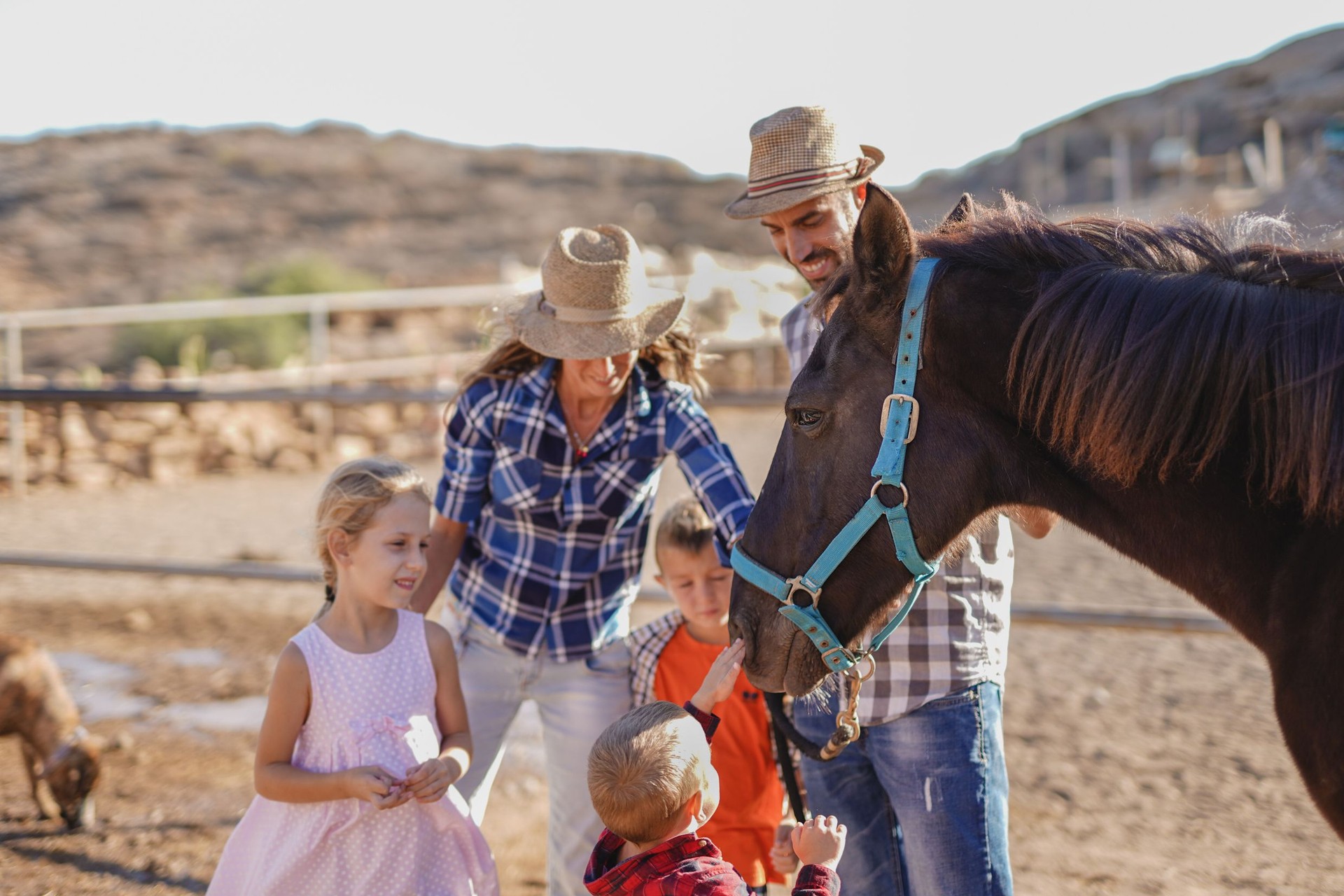 Family, parents and children enjoy day at horse ranch - Focus on the horse